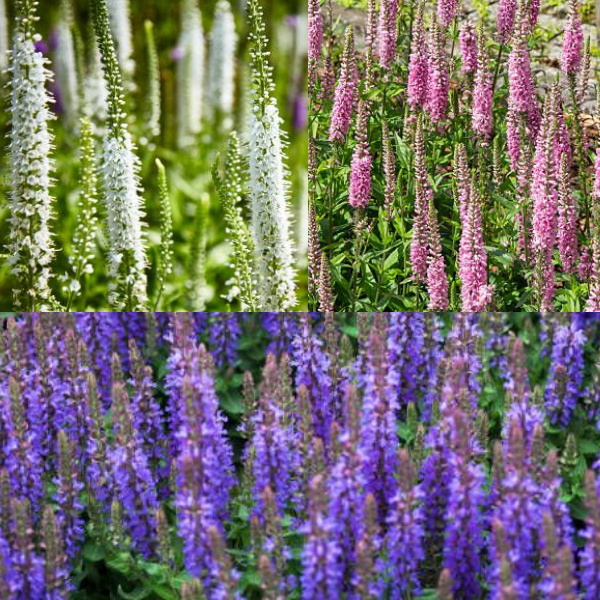 Основное изображение товара