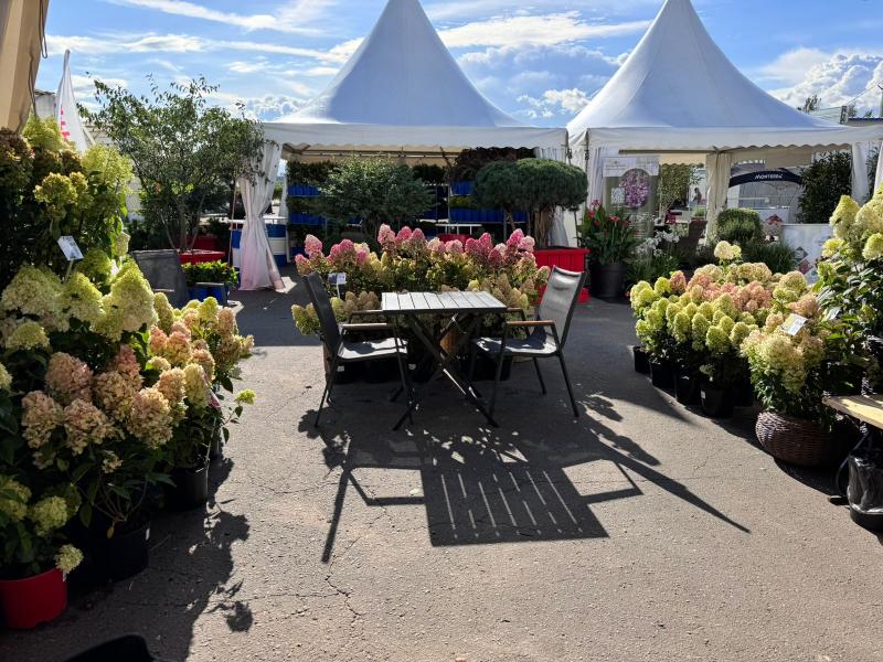 Команда Питомника и Садового центра Веры Глуховой уже готова