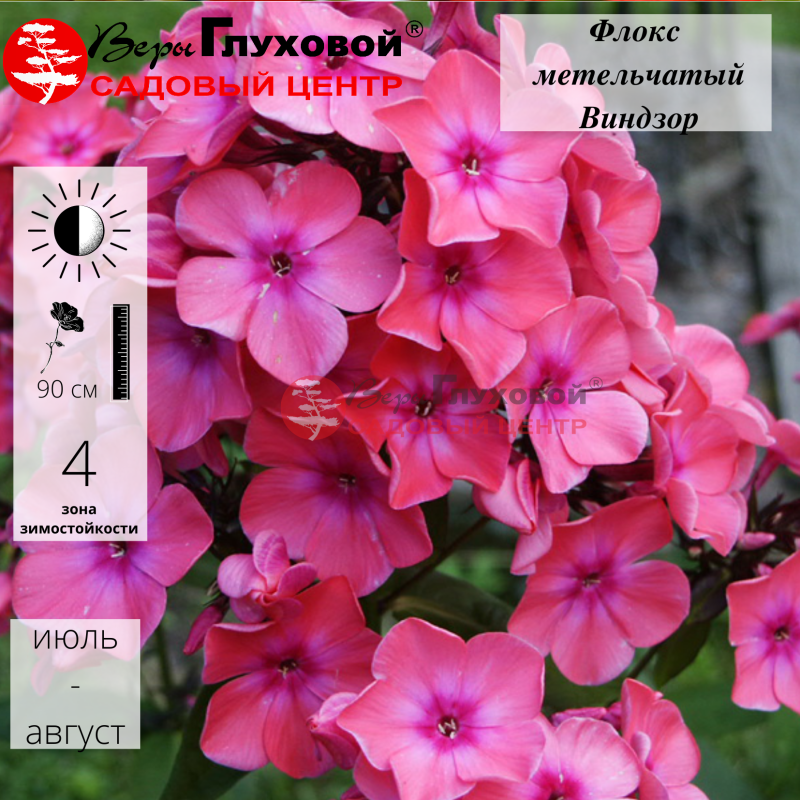 Основное изображение товара