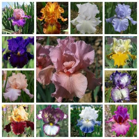 Мы ждем Вас на выставке "Дачный сезон"