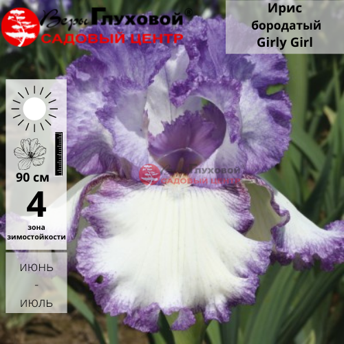 Основное изображение товара