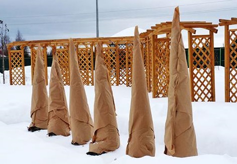 Что и как укрываем под зиму Что и как укрываем под зиму