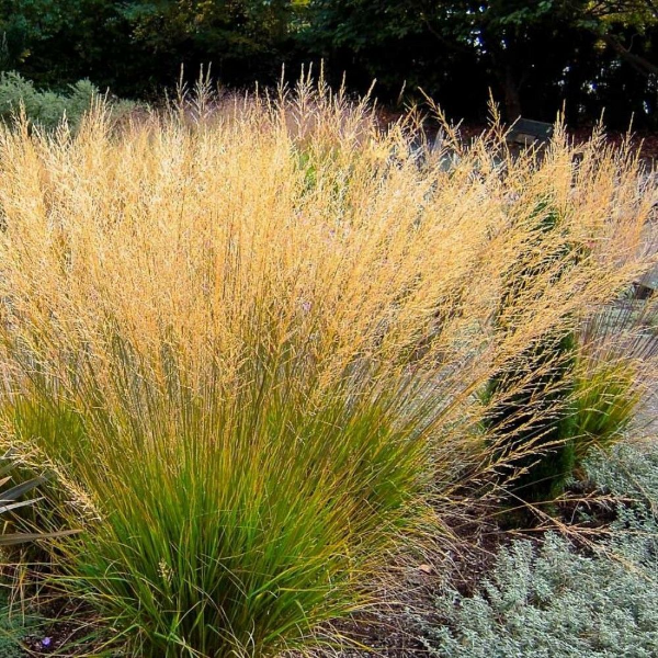 Основное изображение товара