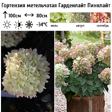 Основное изображение товара