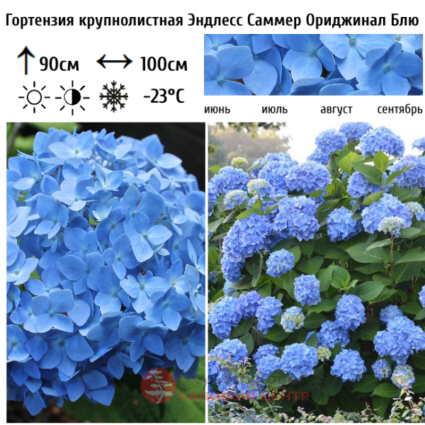 Основное изображение товара