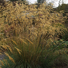 Основное изображение товара