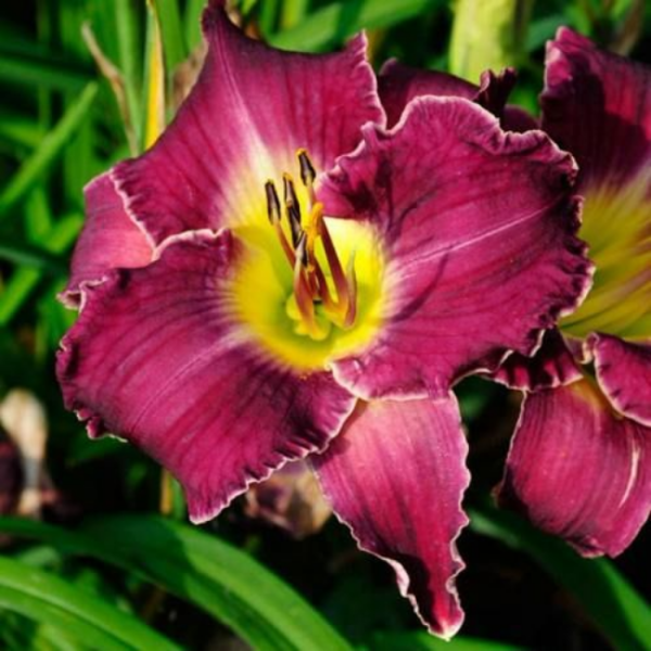 Основное изображение товара