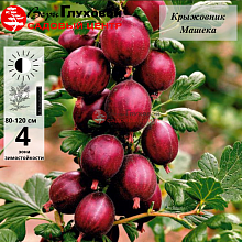 Рисунок 98.jpg