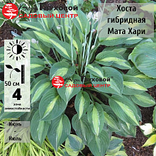 Основное изображение товара