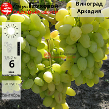 Основное изображение товара