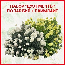 Основное изображение товара