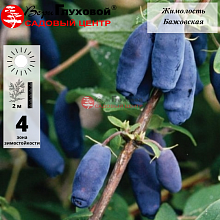 Основное изображение товара