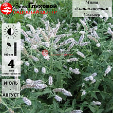 Основное изображение товара