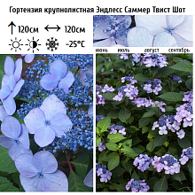 Основное изображение товара