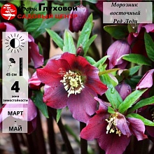 Основное изображение товара